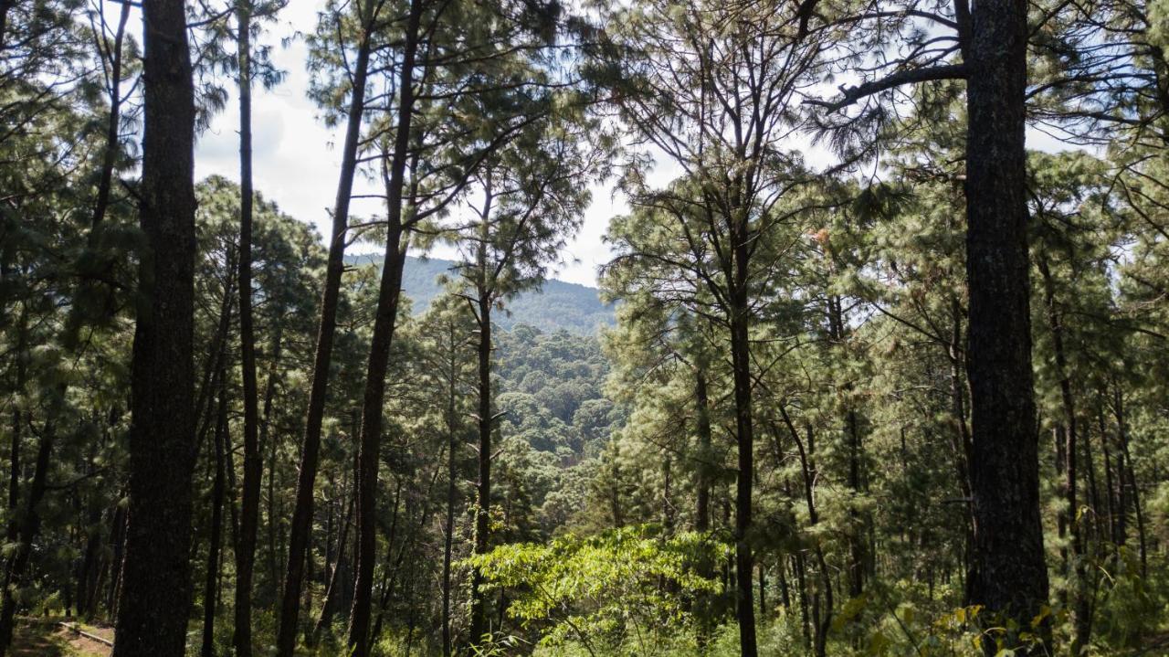 Monteverde 4*
