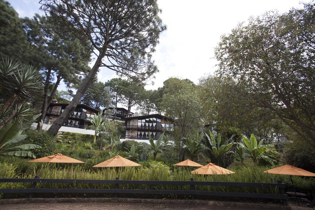 Monteverde 4* Mazamitla